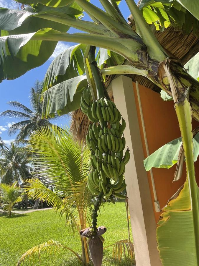 Sambo Mambo Beach Hotel إل كوكو المظهر الخارجي الصورة