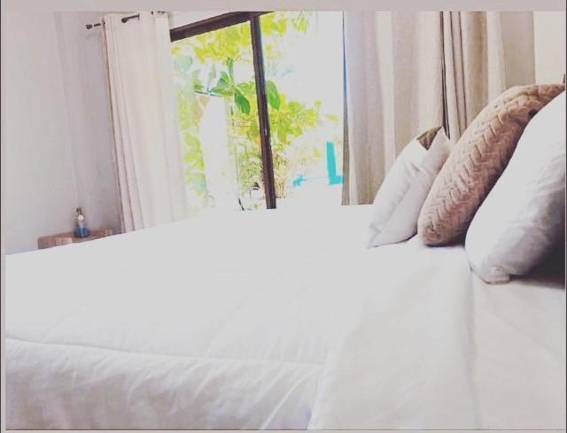 Sambo Mambo Beach Hotel إل كوكو المظهر الخارجي الصورة